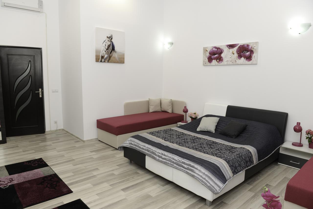 Modern Central-Near Unirii Square Apartment Cluj-Napoca Luaran gambar